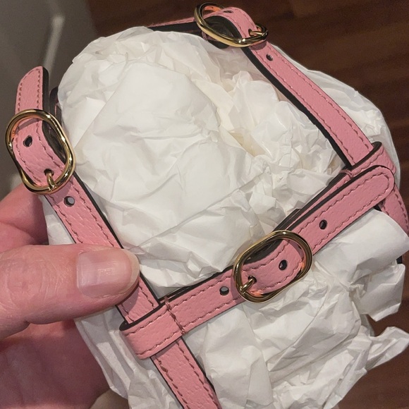 New Gucci dog leash & harness for small size dog - Picture 11 of 16